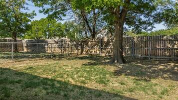 A fenced outdoor area with trees and a grassy ground.