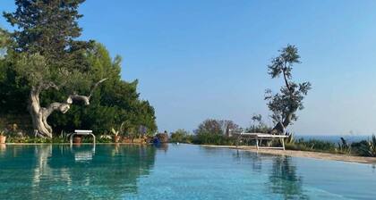 Trullo 1821 Tenuta Le Farcole by LoveSud