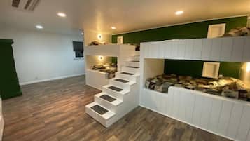 5 bedrooms, desk, iron/ironing board, free WiFi