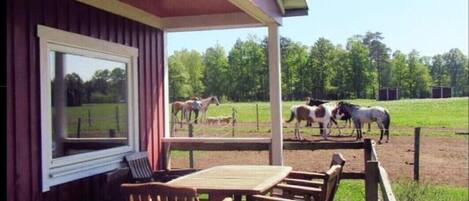 Restauration en plein air