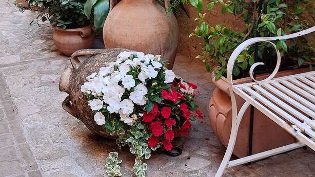 Verschiedene Kübelpflanzen und Blumen sind vor einem Gebäude drapiert, an dem ein Schild mit der Aufschrift 'Vicolo dei Baci' hängt.