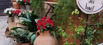 Romantic apartment in the Vicolo dei Baci located in the historic center