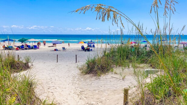 Een strand met rijen strandstoelen en parasols, een zandpad dat naar het water leidt, en hoog gras op de voorgrond.