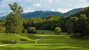 Unclassified image, 3 of 26, button - Clean One Bedroom plus Loft Bedroom Two Bath Cottage with Wi-Fi & Pool Access. (Townsend)