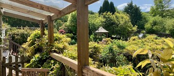 Wisteria Suite