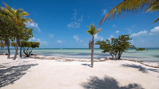 A beach with white sand, palm trees, and clear blue water. - Fabulous Island Getaway! Easy access to Florida Bay, Private Beach,  Elevator (Islamorada)