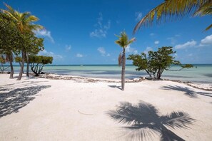 Ein Strand mit weißem Sand, Palmen und klarem, blauem Wasser.