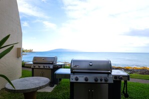 Deux barbecues extérieurs avec vue sur l’océan et une zone herbeuse.