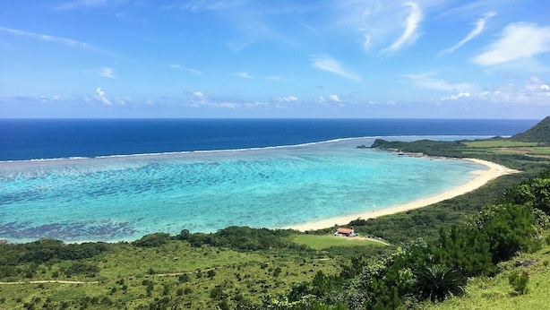 Un paisaje costero con playa, aguas turquesas cristalinas y abundante vegetación.