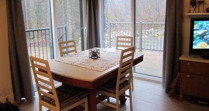Private new 4 season oasis nestled amongst the trees close to Haliburton Village