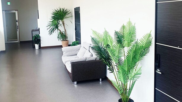 A modern lobby with a grey sofa, potted plants, and a dark wooden door.