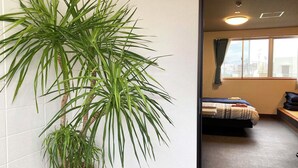 A room with a bed, a window with curtains, and a large green plant.