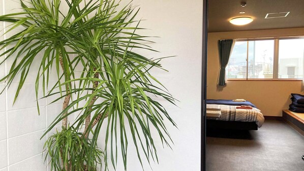 A room with a bed, a window with curtains, and a large green plant.