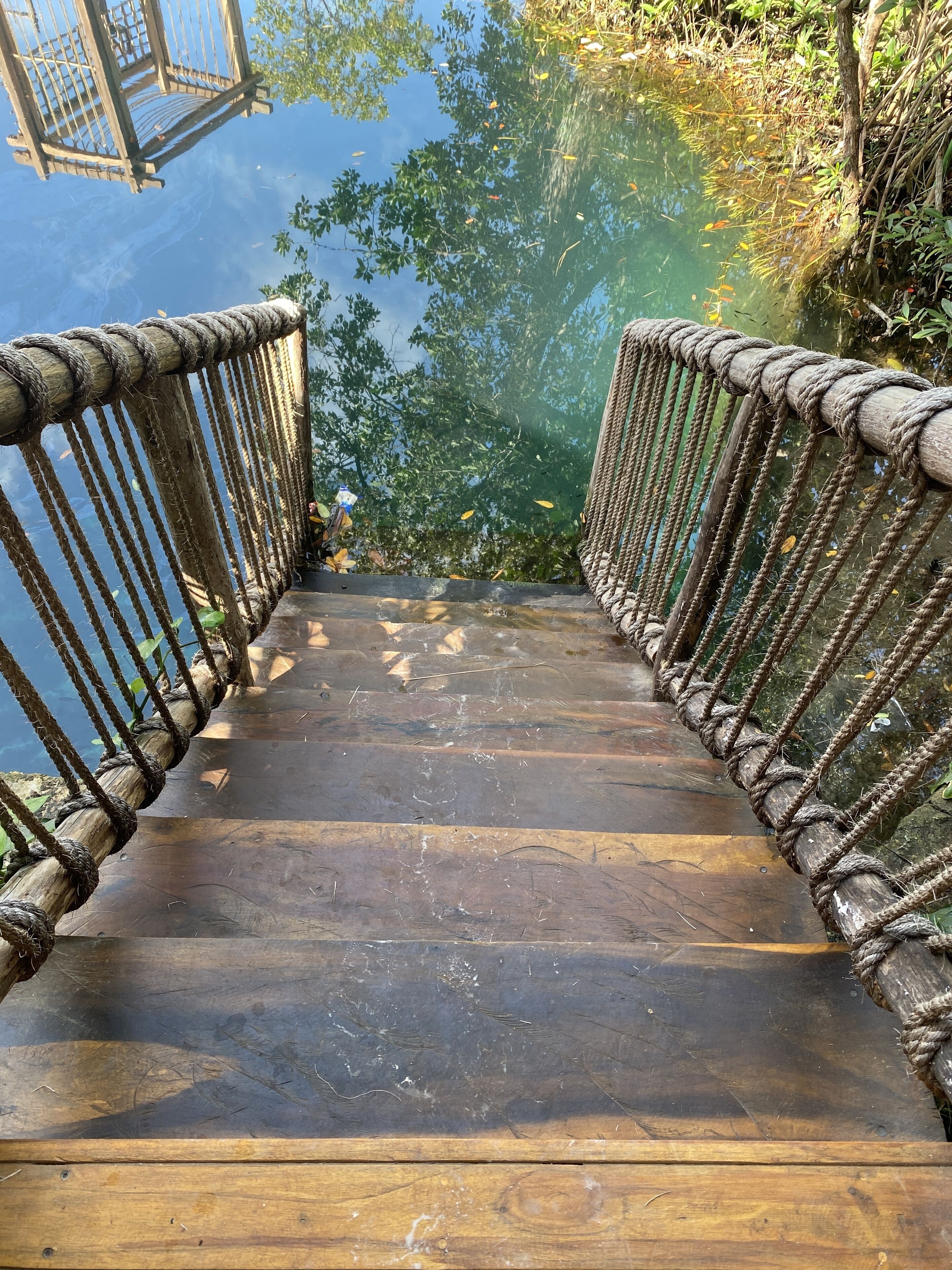 Foto - Hotel Shibari - Restaurant & Cenote Club