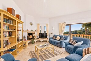 تلفزيون ذكي