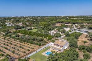 Zona residencial con una casa grande y piscina, rodeada de vegetación y otras viviendas.
