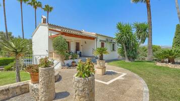 A house with a patio, surrounded by palm trees and potted plants.