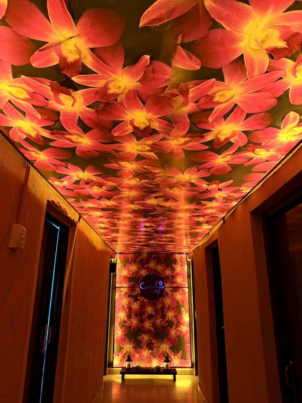 Salle de soins pour les couples, soins du corps, aromathérapie