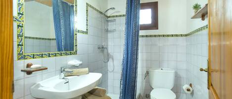 A bathroom with a sink, toilet, shower, and a mirror.