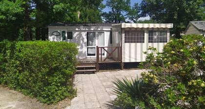 Camping Les Pins de Sel