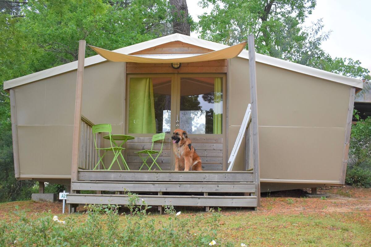 A small, single-story cabin with a porch, green folding chairs, and a dog sitting on the porch.