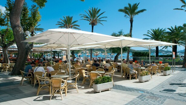 Outdoor seating with umbrellas, wicker chairs, and potted plants. - Villa Sol Pollensa by Villa Plus (Mallorca)