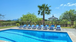 A swimming pool with lounge chairs and a palm tree. - Villa Sol Pollensa by Villa Plus (Mallorca)