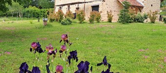 Dans le Périgord Noir, sur le Domaine de la Croix des Alignés Belle Périgourdine