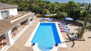 A swimming pool with a tiled deck, lounge chairs, and a cactus garden.