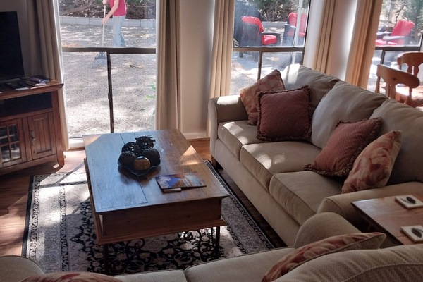 Televisor, reproductor de DVD i llibres