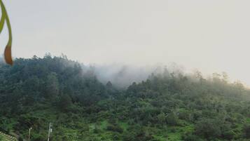 A lush green landscape with a forested hill and a clear sky.