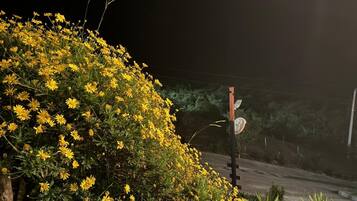 Àrea exterior de l'allotjament