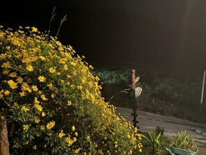 Terrain de l’hébergement 