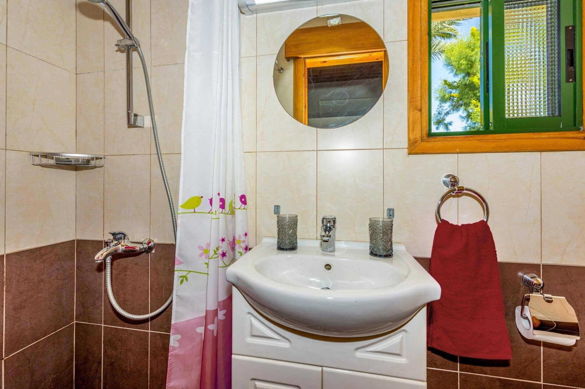 Un baño con ducha, lavabo y espejo.
