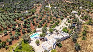 An aerial view of Villa La Paghiara, featuring olive groves, a swimming pool, and traditional stone architecture.
