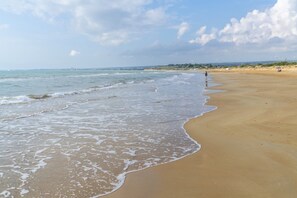 Playa en los alrededores