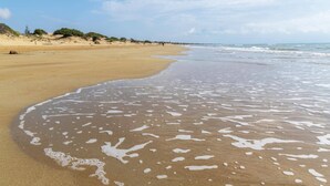 Une plage de sable fin où les vagues douces viennent lécher le rivage.