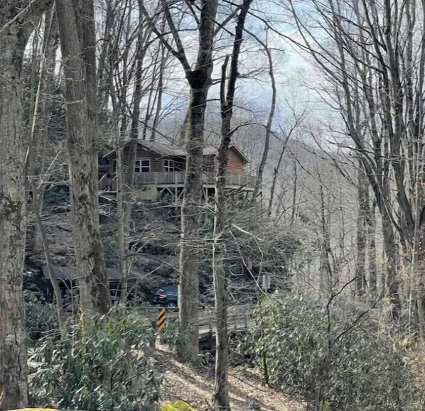 Exterior - Mountain Creekside Retreat (Burnsville)