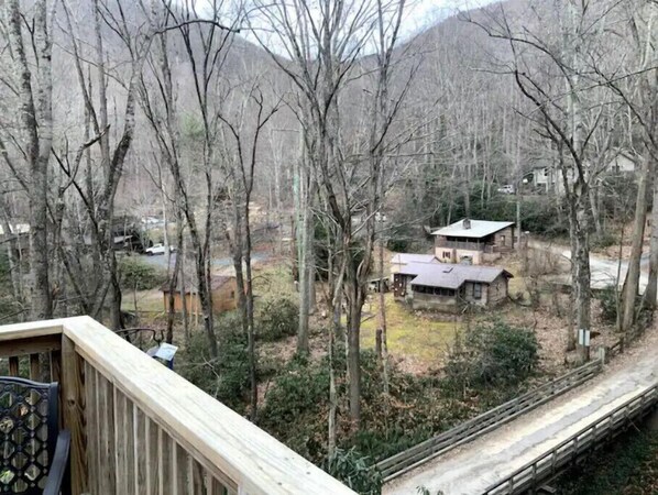 Property grounds - Mountain Creekside Retreat (Burnsville)