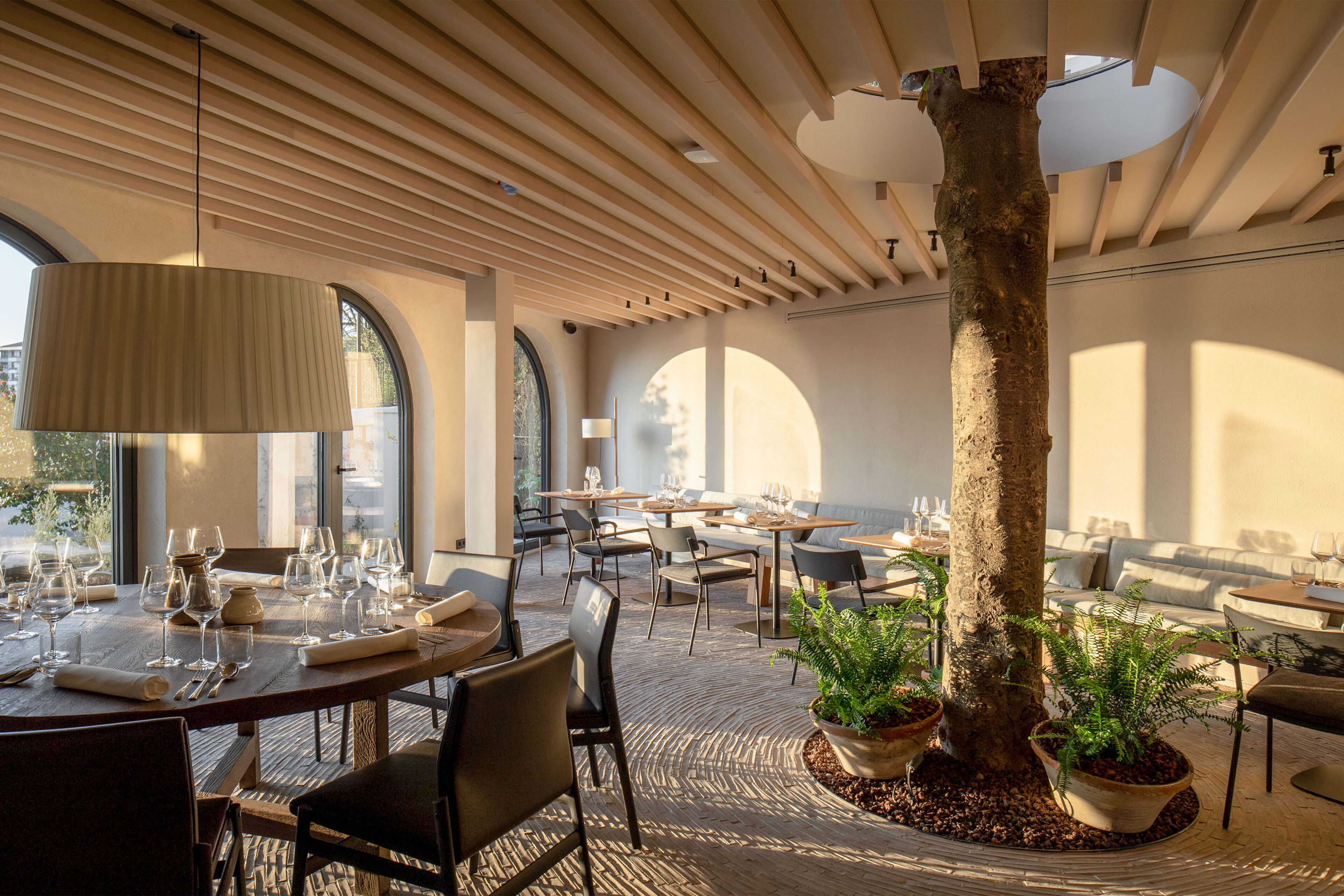 Un restaurante moderno con mesas redondas, sillas y plantas en macetas.