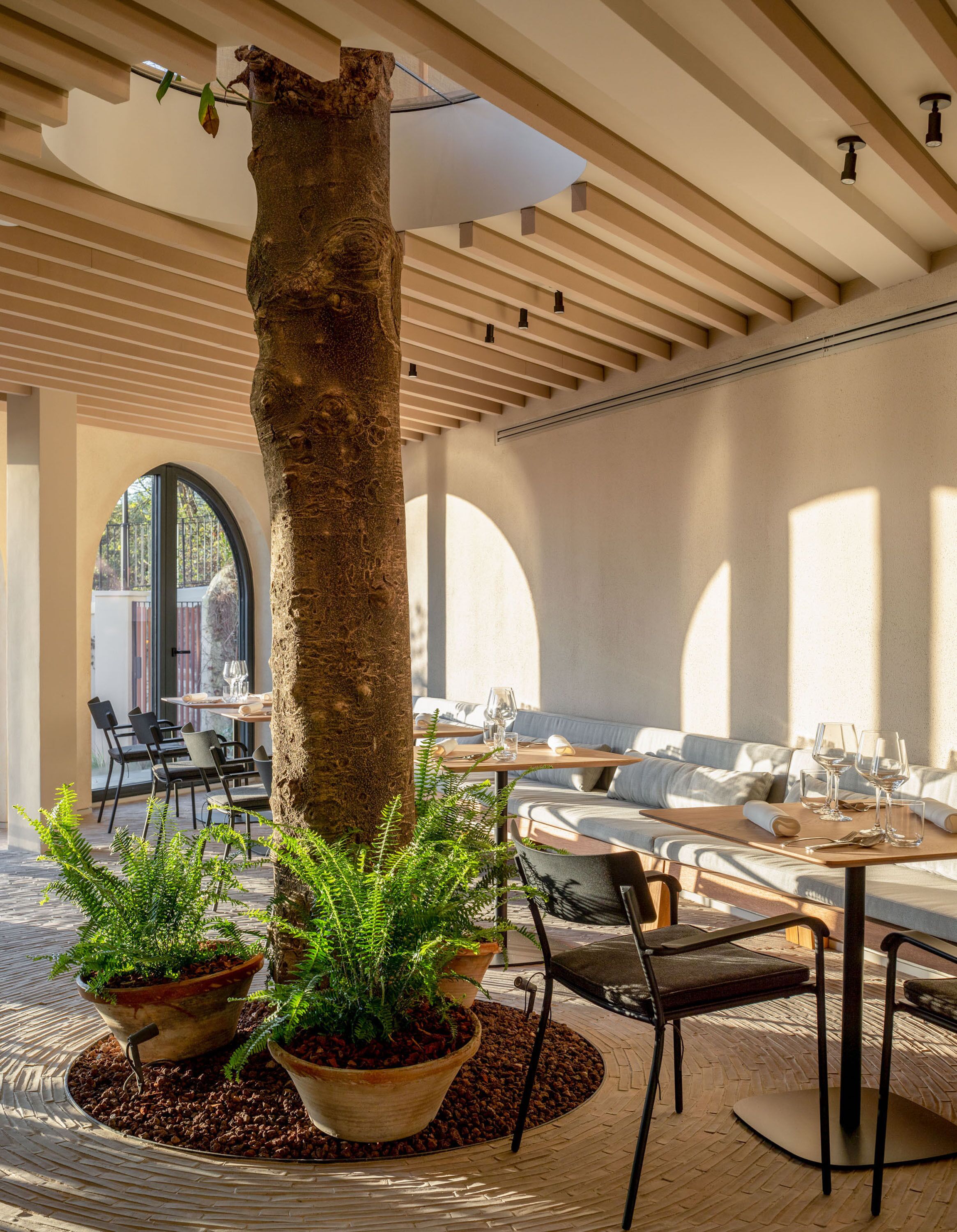 An indoor dining area with a large tree trunk, potted plants, and modern furniture.