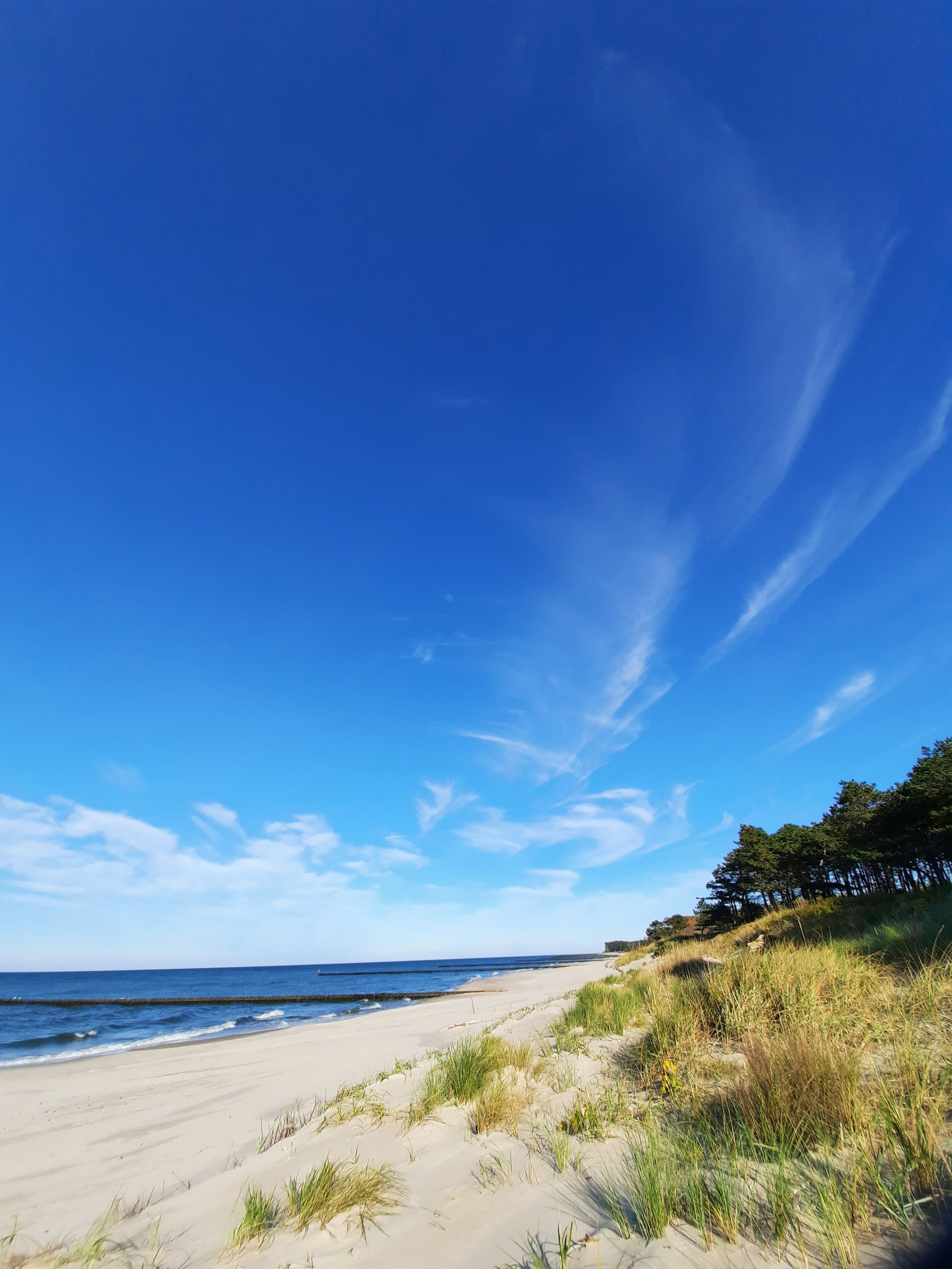 A beach with a clear sky, sandy shore, and grassy dunes.