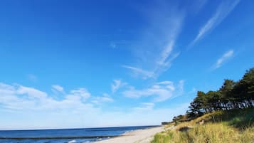 A beach with a clear sky, sandy shore, and grassy dunes.