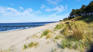 En strand med klar himmel och milda vågor.