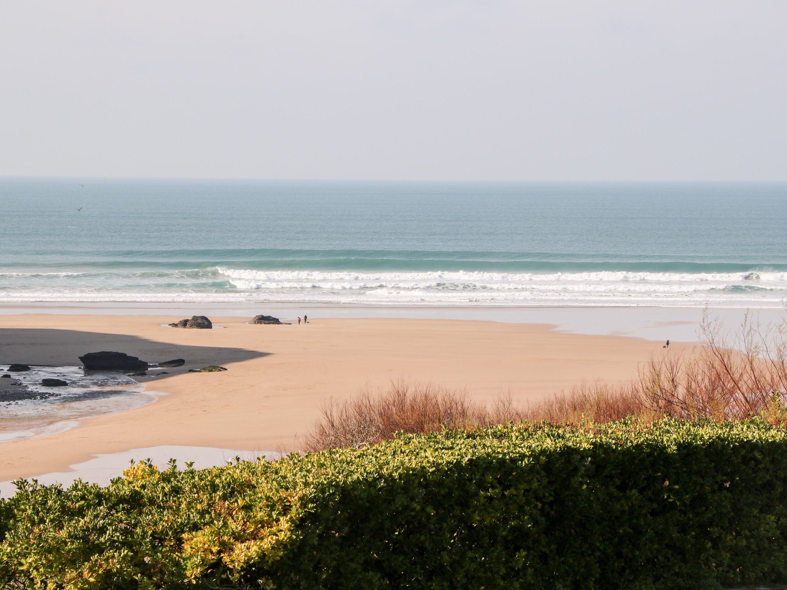 A beach with a clear view of the ocean, a sandy shore, and a hedge in the foreground.
