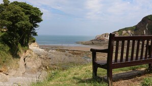 A bench overlooking a coastal landscape with a rocky beach and cliffs. - 11 Manleigh Park (Ilfracombe)