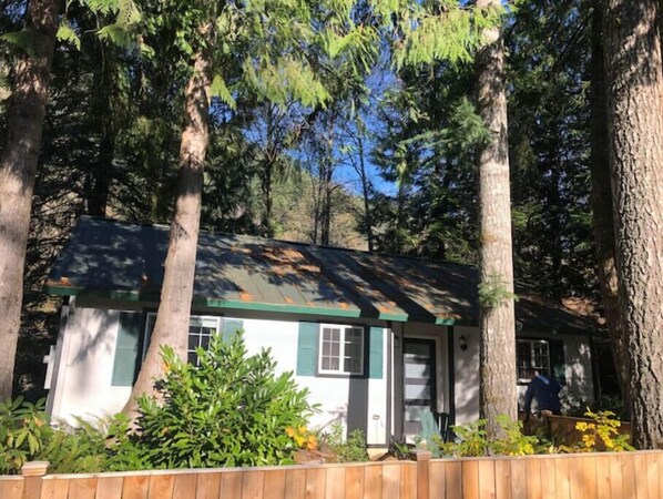 Escape to a serene forest retreat with a cozy cabin nestled among the trees.