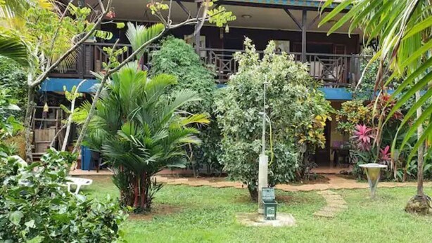Un exuberante jardín con diversas plantas y un sendero que lleva a un edificio con balcón.