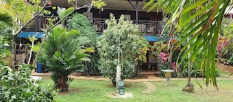 Aesthe studio overlooking a tropical garden
