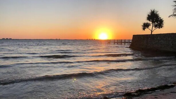 Un atardecer sobre una playa con olas, un muelle de madera y una palmera.
